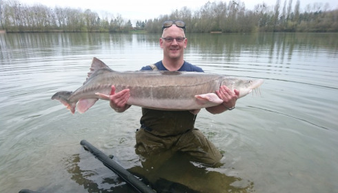 A 110 lb sturgeon from Blue Lake, Nicholas Curl, Apr 2018