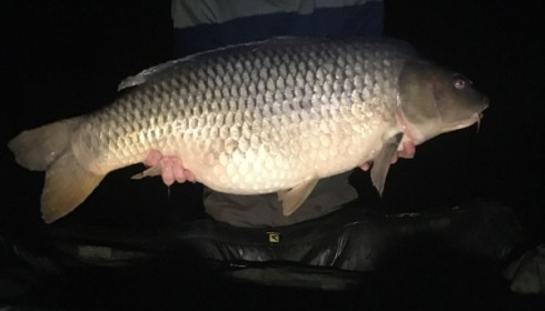 A 47 lb carp from Blue Lake, mel cox, Sep 2018