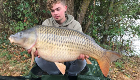 A 31 lb 2 oz carp from Blue Lake, shergold, Sep 2019