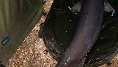 A 83 lb sturgeon from Blue Lake, Brett Goldie, Apr 2022