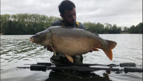 A carp from Blue Lake, tyler akins, Sep 2018
