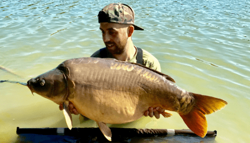 A 43 lb 6 oz carp from Blue Lake, Ian, Sep 2017