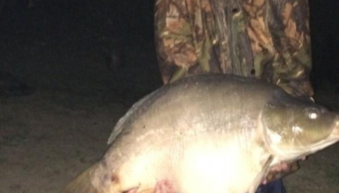 A 44 lb carp from Blue Lake, chrispollard, Sep 2015