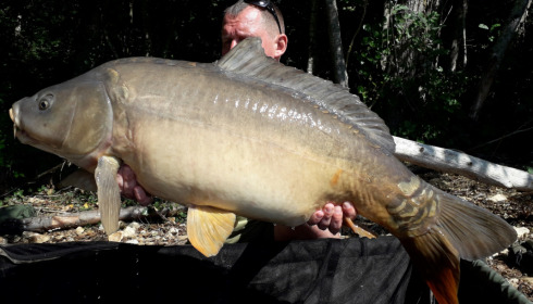 A carp from Blue Lake, delzeeuk, Sep 2021