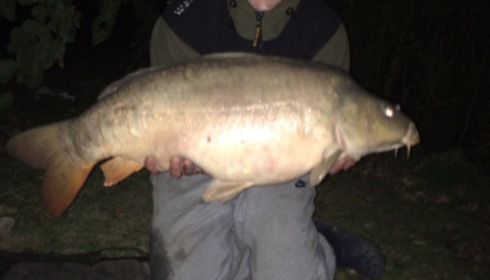 A 37 lb carp from Blue Lake, chrispollard, Sep 2015