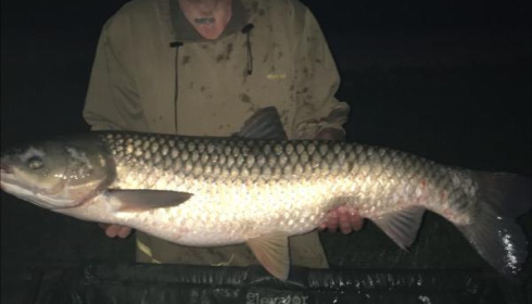 A 29 lb 4 oz grass carp from Blue Lake, Paul Coleman, Aug 2019