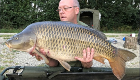 A 41 lb carp from Blue Lake, Darren Tingle, Jun 2019