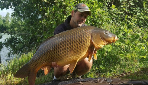 A 38 lb carp from Blue Lake, guillaume legare, Jun 2017