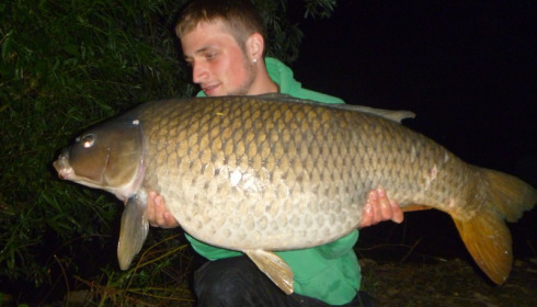 A 35 lb carp from Blue Lake, taylor, Jun 2015