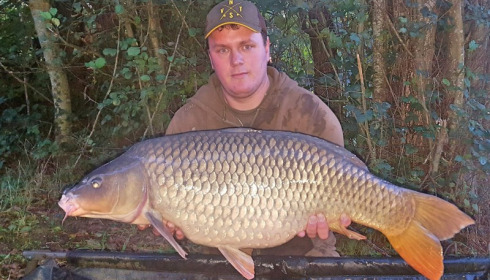 A carp from Blue Lake, Oct 2017
