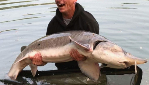 A 86 lb sturgeon from Blue Lake, Colin Jones, May 2018