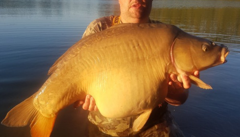 A 44 lb carp from Blue Lake, Dean Harris , May 2019
