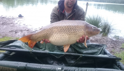 A 35 lb carp from Blue Lake, danny hubbard, May 2016