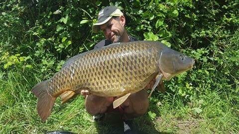 A 34 lb carp from Blue Lake, guillaume legare, Jun 2017