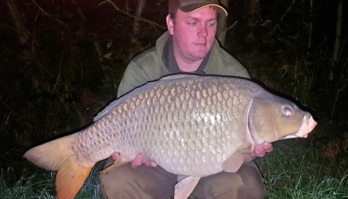 A carp from Blue Lake, Oct 2017