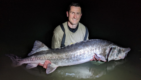 A fish from Blue Lake, The Big Beluga Sturgeon - estimated weight 107lb, Apr 2022