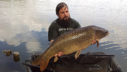 A 31 lb carp from Blue Lake, jonathan collect, Aug 2015