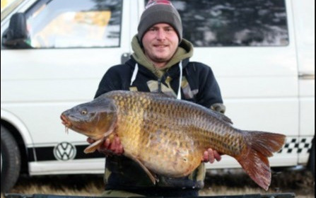 A 33 lb carp from Blue Lake, Si, Sep 2018