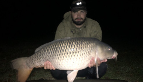 A 30 lb carp from Blue Lake, louis, Sep 2019