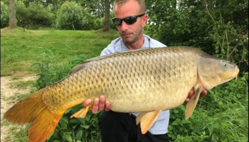 A carp from Blue Lake, kevin bannister, Jun 2019