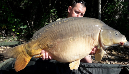 A carp from Blue Lake, delzeeuk, Sep 2021