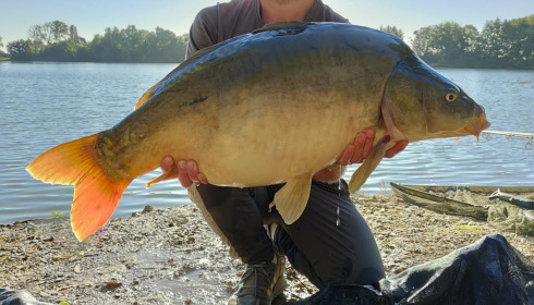 A 36 lb 5 oz fish from Blue Lake, Lewey 36lb, Jul 2022
