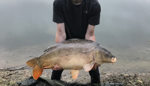 A 46 lb carp from Blue Lake, Jun 2018