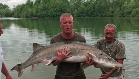 A 91 lb carp from Blue Lake, Jun 2018