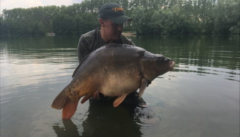 A carp from Blue Lake, thomas curzon, Jul 2018