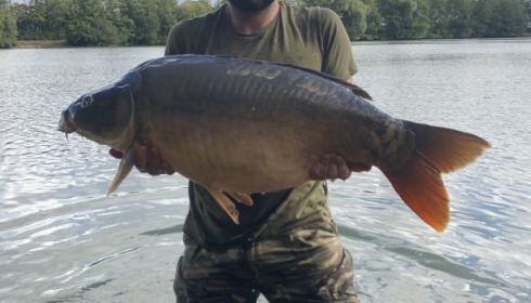 A 48 lb 12 oz carp from Blue Lake, louis, Sep 2019