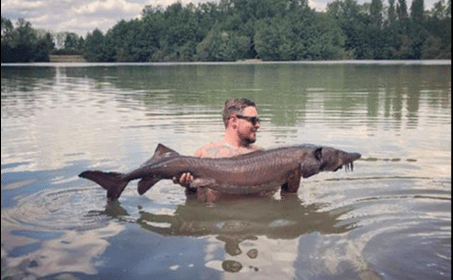 A sturgeon from Blue Lake, Ry Lord, Aug 2018