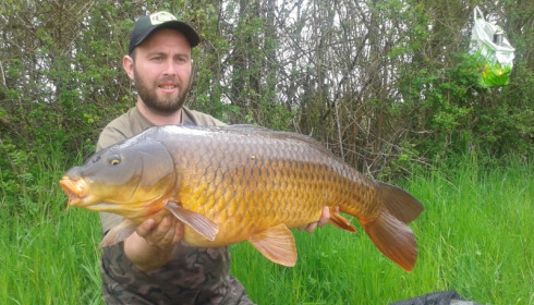 A 34 lb carp from Blue Lake, andrew boulter, Apr 2016