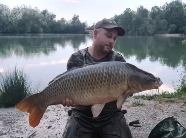 A fish from Blue Lake, Aug 2022