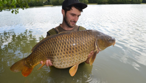 A 31 lb carp from Blue Lake, James Amer, Jun 2015