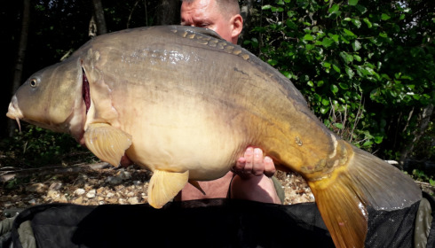 A carp from Blue Lake, delzeeuk, Sep 2021