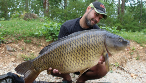 A 31 lb carp from Blue Lake, guillaume legarer, Jul 2018