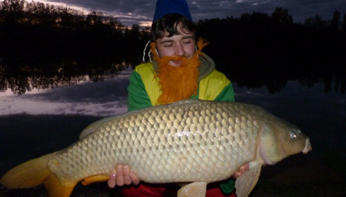 A 29 lb carp from Blue Lake, TommyStart, Oct 2015
