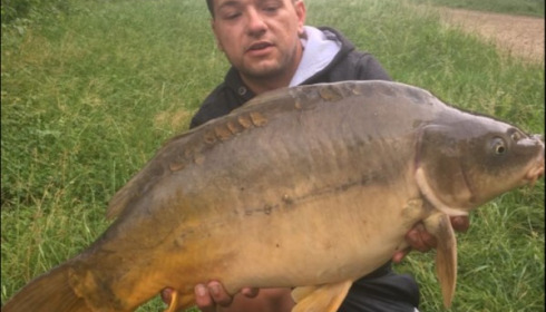 A carp from Blue Lake, Jun 2018
