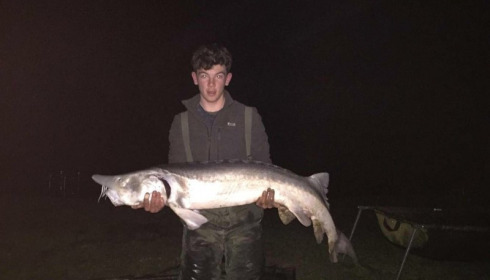 A carp from Blue Lake, Tyrone Coombes, Mar 2016