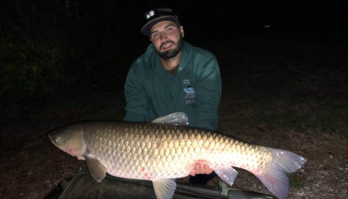 A 34 lb 8 oz grass carp from Blue Lake, shergold, Sep 2019
