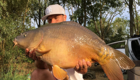 A 31 lb carp from Blue Lake, david carpenter, Aug 2016