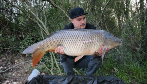 A carp from Blue Lake, Apr 2019