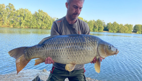 A 34 lb carp from Blue Lake, matt rowlinson, Sep 2021