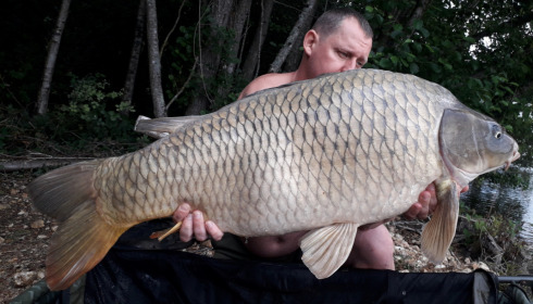 A carp from Blue Lake, delzeeuk, Sep 2021