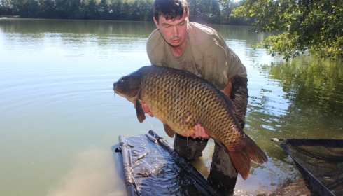 A 41 lb carp from Blue Lake, brian luckett, Sep 2016