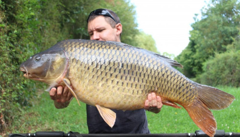 A 41 lb 8 oz carp from Blue Lake, Jade Mograbi, Sep 2017