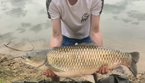 A carp from Blue Lake, Jun 2018