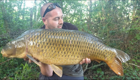 A carp from Blue Lake, kevin bannister, Jun 2019
