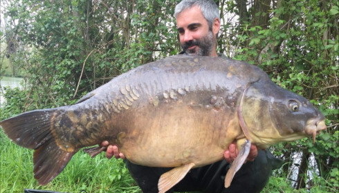 A carp from Blue Lake, Apr 2019