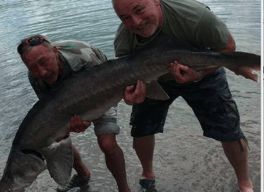 A 86 lb carp from Blue Lake, Jun 2018